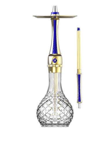 Maxx Royal Ocean Gold
